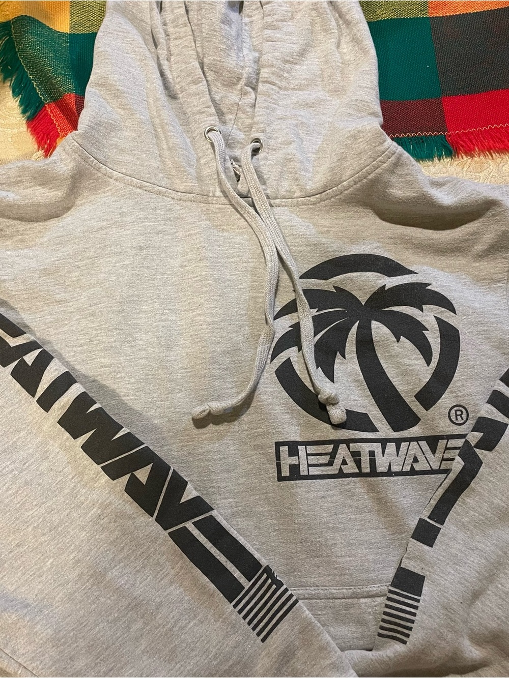 Nike Light Gray Hoodie with Black Heatwave Palm Graphic